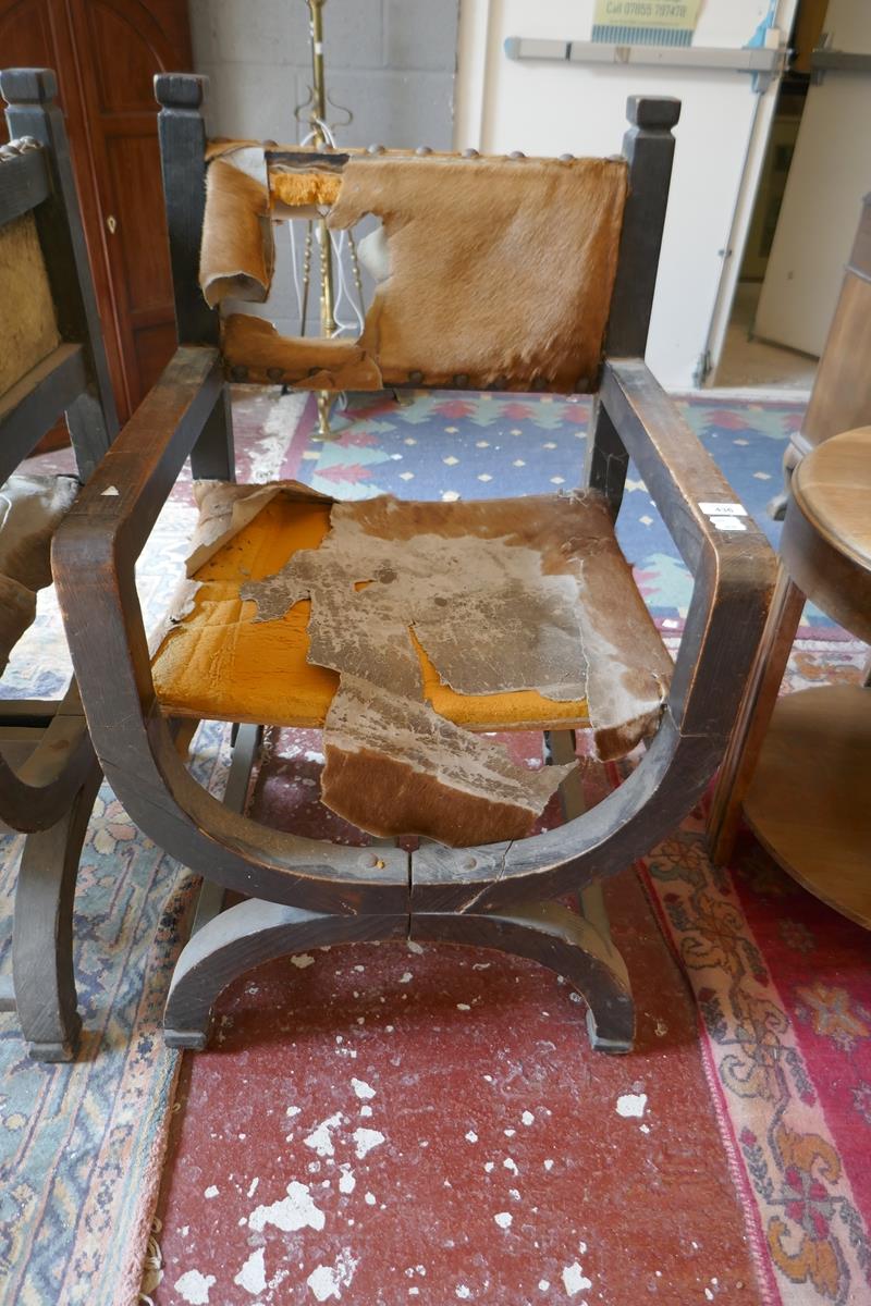 Pair of X framed chairs upholstered with animal hides - Image 2 of 5