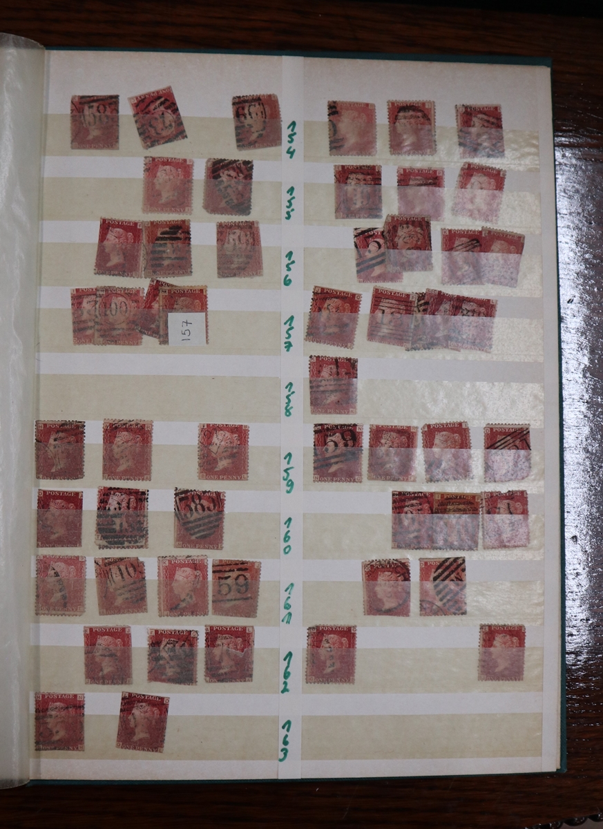 Stamps - Great Britain stock book of 1d red plates, mixed condition - Image 4 of 5