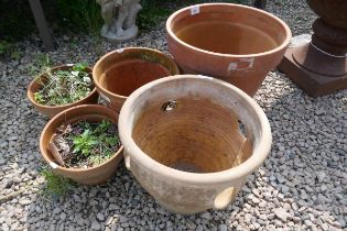Strawberry planter together with 4 other pots