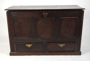 An 18th century oak mule chest, the two plank top with split pin hinges, above three recessed panels