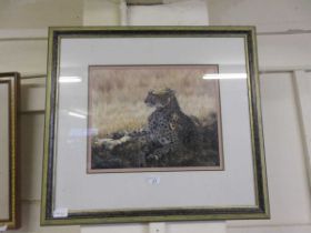 A framed and glazed limited edition print of a cheetah no. 313/850 signed Simon Combes