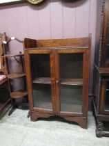 An early 20th century low level glazed two door bookcase with raised back