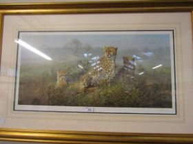 A framed and glazed limited edition print no.34/295 of cheetahs, titled 'New Day, New Dawn' signed