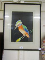 A framed and glazed possible watercolour of bird on branch signed bottom right 'Doe'