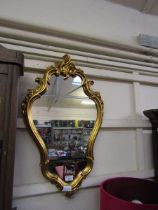 An ornate gilt framed wall mirror