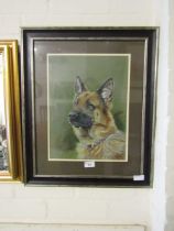 A framed and glazed painting of an Alsatian by Paul Sly