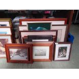 Twelve framed and glazed prints on various subjects to include squirrels, owls, castles, etc