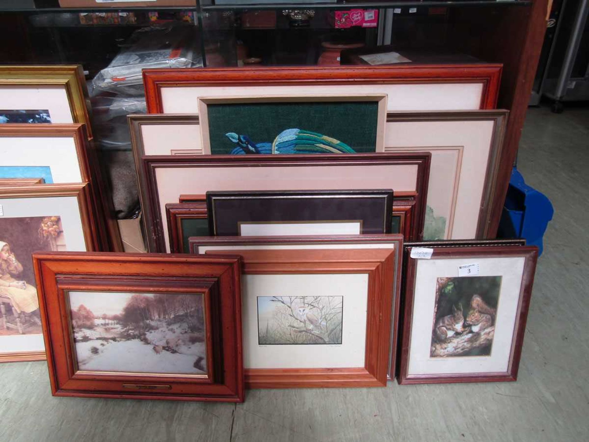 Twelve framed and glazed prints on various subjects to include squirrels, owls, castles, etc