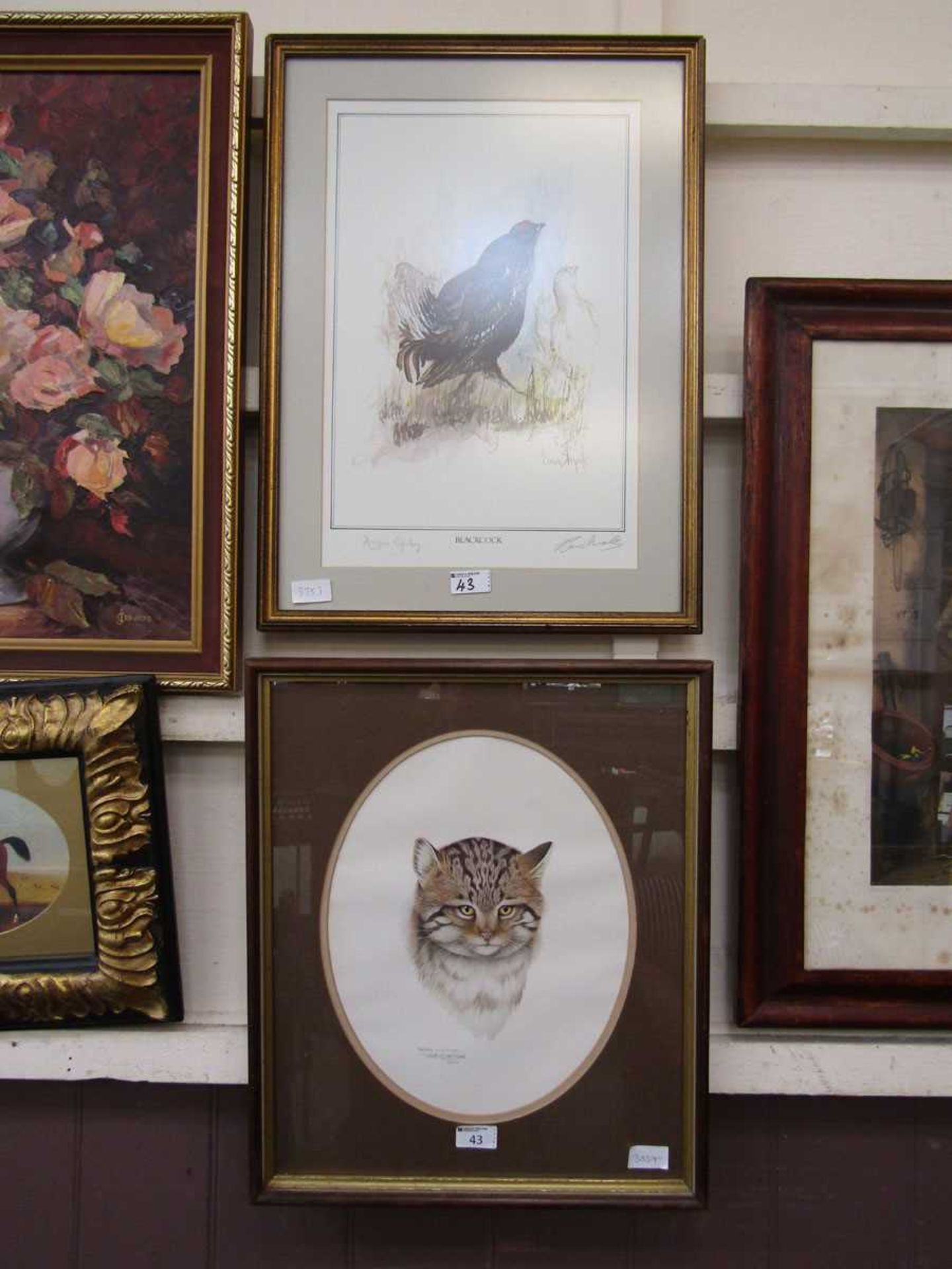 Two framed and glazed limited edition prints one titled 'Blackcock' the other depicting wild cat