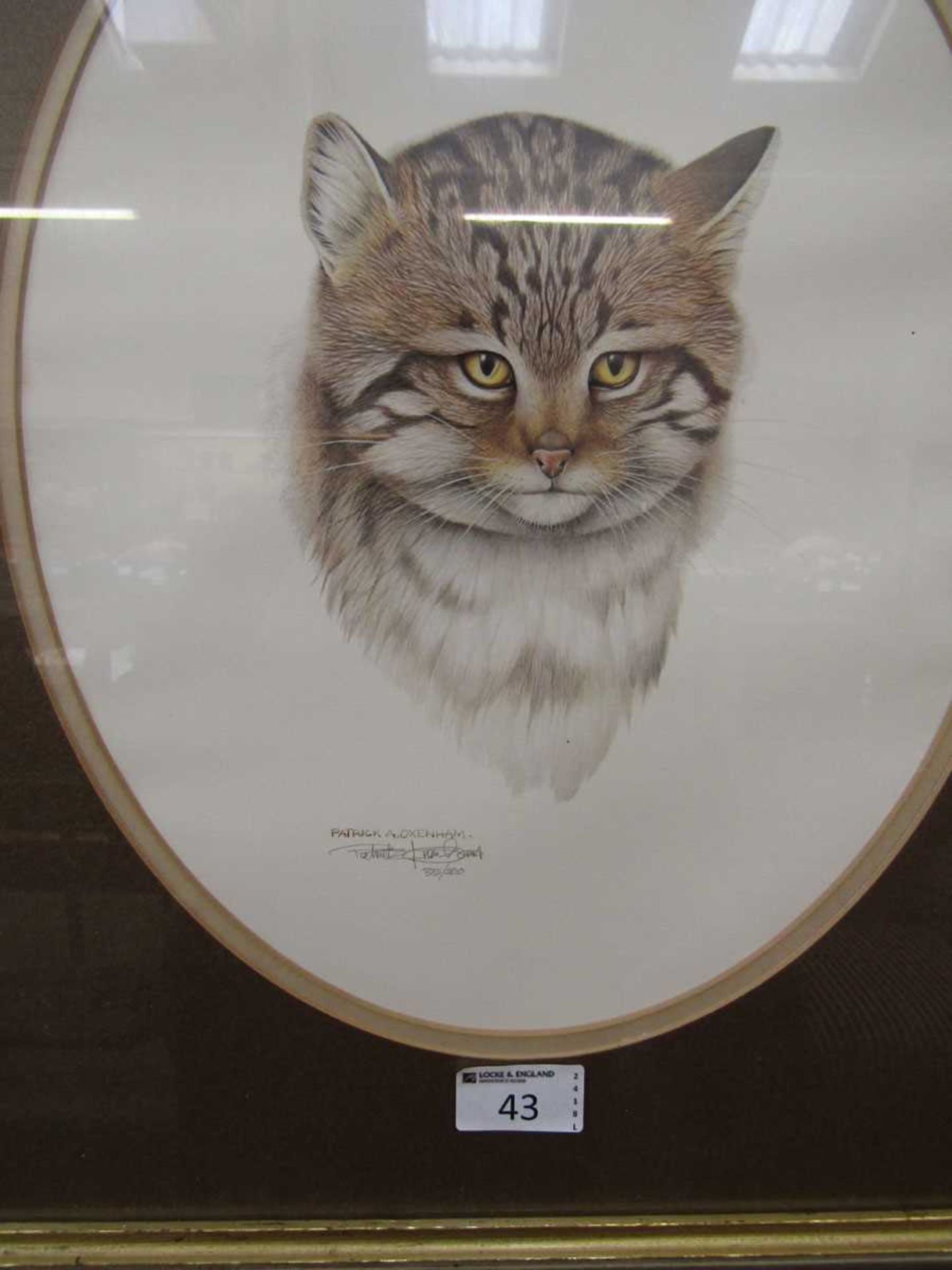 Two framed and glazed limited edition prints one titled 'Blackcock' the other depicting wild cat - Image 2 of 3