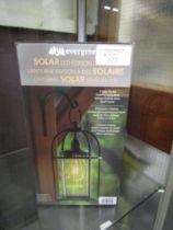 +VAT A boxed Evergreen solar LED Edison lantern