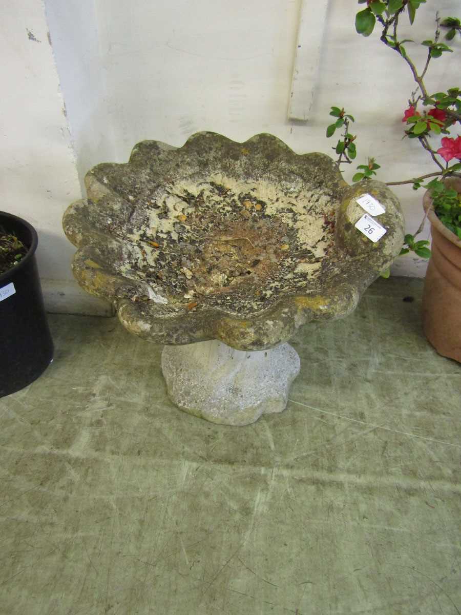 A weathered stoneware birdbath with a shell design