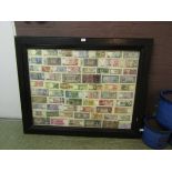 A large framed and mounted selection of currency from various countries