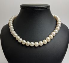 A SINGLE STRAND FRESHWATER PEARL NECKLACE, fitted with 41 round pearls, 11mm diameter approx, 46cm /