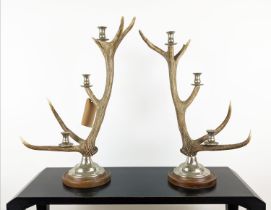 PAOLO MOSCHINO THREE ARM RED DEER ANTLER CANDLESTICKS, a pair, 72cm H approx. (2)