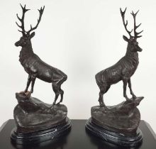 AFTER J MOLGNIES, a pair of stags, cast metal, stone bases, 75cm H. (2)