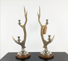 PAOLO MOSCHINO TWO ARM RED DEER ANTLER CANDLESTICKS, a pair, 72cm H approx. (2)