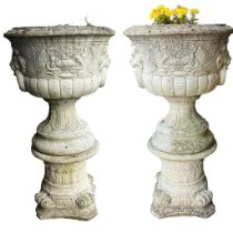 LION HEAD PLANTERS ON STANDS, a pair, well weathered reconstituted stone, 103cm H. (2)