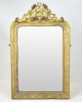 WALL MIRROR, 19th century gilt gesso incorporating stylised foliate plants, dragonflies and entwined