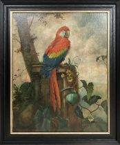 F N BALDRY, 'Scarlet Macaw', oil on canvas, 63cm x 50cm, signed and dated 1925, framed.