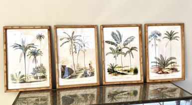 BOTANICAL PRINTS, set of four, framed, 50cm x 35cm each. (4)