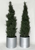 ARTIFICIAL CONIFERS, a pair, in silvered metal drum planters, planters 49cm W, heights overall