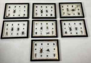 A COLLECTION OF INSECT SPECIMENS, seven display cases, comprising a variety including beetles,