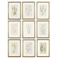 E J LOWE, Grasses, a set of nine botanical prints, circa 1858, from 1864, 30cm x 23cm each.