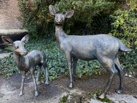 CONTEMPORARY SCHOOL SCULPTURAL STUDIES, a set of two, depicting a Doe and Fawn, resin, in a