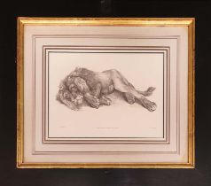 THOMAS LANDSEER (1795-1888), 'studies of lions and leopards', etchings 17.5cm x 36cm, framed. (6)