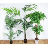 FAUX PLANTS, a collection of three, each differing, 17cm H at tallest approx. (3)