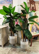 FAUX BANANA PALMS, a pair, in painted metal containers, 177cm H at tallest approx. (2)