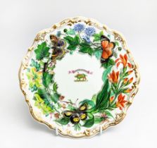 COPELAND AND GARRETT CABINET PLATE, 23cm diam gilded and hand painted with butterflies and flowers