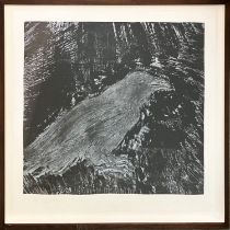 JIM DINE (born 1935, Cincinnati, Ohio, United States) 'Raven' woodcut and soft ground, etching on