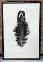 PAOLO MOSCHINO FEATHER STUDY # 3, 188cm x 128cm, framed and glazed.