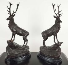 AFTER J MOIGNIEZ STAGS, a pair, raised on black marble bases, 77cm H x 38cm W x 20cm D.