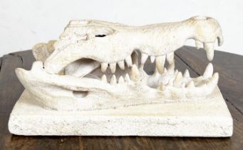 CROCODILE SKULL CAST, mounted on plinth base, 14cm H x 30cm x 15cm.