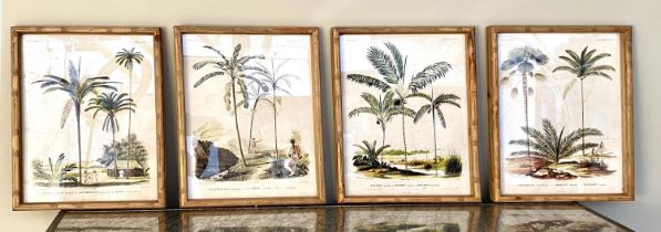 BOTANICAL PRINTS, a set of four, framed and glazed, 50cm H x 35cm W. (4)