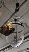 CEILING LANTERNS, a pair, in the form of suspended glass bowls, each bowl approx 30cm W x 40cm H. (