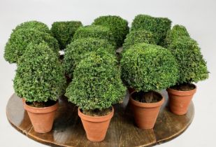 MINIATURE FAUX TOPIARY TREES, a set of thirteen, 30cm H. (13)