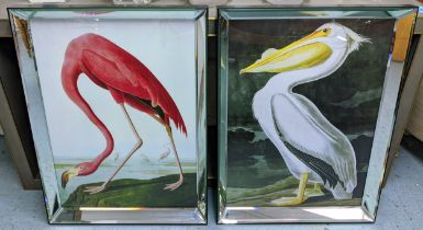 AFTER AUBUDON, prints, a set of two, framed, 87cm x 67.5cm approx. (2)