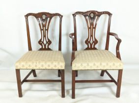 DINING CHAIRS, a set of ten, Georgian style, including two carvers, carved mahogany, carvers each