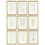 EJ LOWE, Grasses, a set of nine botanical prints, circa 1858, 30 x 23 cm each.