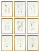 EJ LOWE, Grasses, a set of nine botanical prints, circa 1858, 30 x 23 cm each.