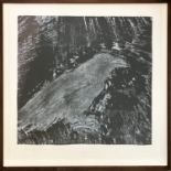 JIM DINE (born 1935, Cincinnati, Ohio, United States) 'Raven' woodcut and soft ground, etching on