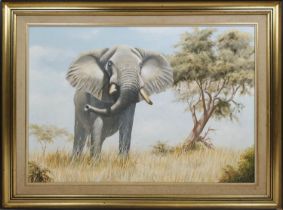 PETER BRUCE (b.1949) 'African Elephant', oil on board, 68cm x 97cm, signed framed.