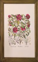 BESSLER HAND COLOURED PRINTS, a set of three, floral, in green frames, each overall 85cm H x 63cm W,