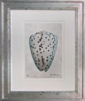 TROWBRIDGE GALLERY, 'Shells', a pair of prints, limited edition 17/295, 56cm x 45cm. (2)