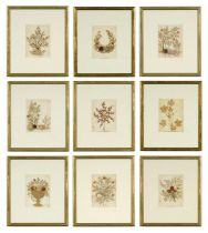 HERBARIUM ANCIEN, A set of 9 dried flowers – circa 1920 Linen mount board, 26 x 22.5 cm each. (9)