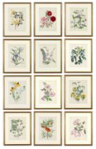 JOHN NASH (brother of Paul Nash), a set of 12 English flowers, botanical lithographs, 1948,